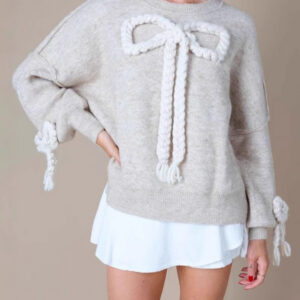 3D Applique Bow Paneled Loose Sweatshirt